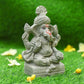 8INCH Mahodara Eco-Friendly Ganpati | Plant-A-Ganesha