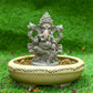 6INCH Shriniketh Eco-Friendly Ganpati | Plant-A-Ganesha