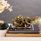 Feng Shui Golden Dragon Grasping Ball for Power and Success